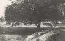 JABLONOWSKI POND 1925