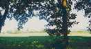 SAME VIEW 2003 - Marek Buras