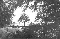 PRZYBOROW 1925
