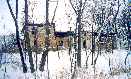 FRONT - PRZYBOROW 2003 - Stanislaw Buras
