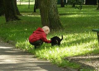 A park, a boy, a dog